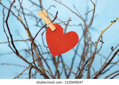 Red Or Yellow Paper Heart Attached By Tree Branches From A Vase, In The House. Heart Attached With Wooden Clothes Pin. Home Decoration. Dry Branches. Blue Background Or Near The Window. Love, 