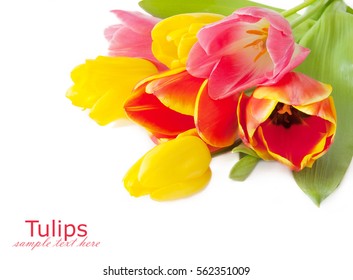 Red, Yellow And Pink Tulips On White Background