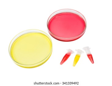 Red and Yellow solution in plate and micro tube