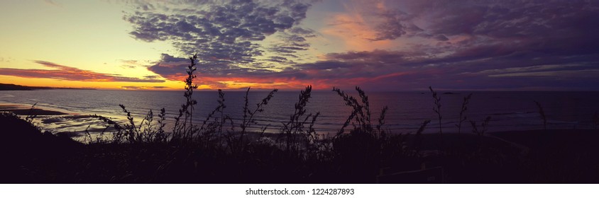 Red, Yellow Sunset On A Beach  And Nz Flax / Harakeke