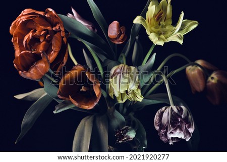red and yellow tulips on a black background, flower bouquet, vintage style, studio shot. 