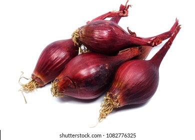 Red Young Pearl Onion - Red Baron (Allium Cepa)