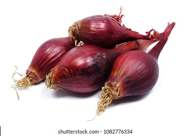 Red Young Pearl Onion - Red Baron (Allium Cepa)