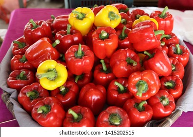  The Redand Yellow Pepper  Capsicum Annuum