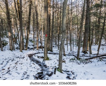 A Red-blazed Trail Curves Along The Snowy Forest Floor In This New England Winter Scene.