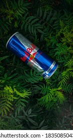 Redbull Can On Marigold Plant