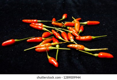 Redchilli on the blackscreen