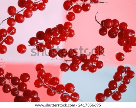 Redcurrant berries on pink water drops background. Red berry bunch. Currant berry food concept. Food aesthetic. Colorful abstract wet surface. Wet berries. Branches of currants. Pink aesthetic.