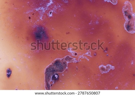 Reddish Ochre Surface Revealing Irregular Brownish Fuzzy Formations And Whitish Crusts In Close-Up Abstract Macro Composition On Warm Toned Background.