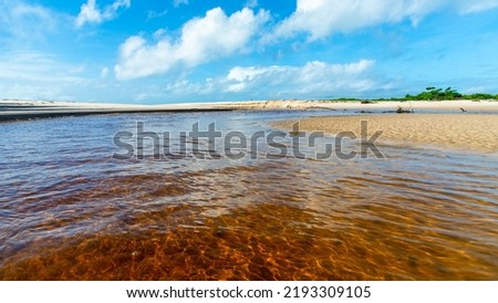 Reddish water of a river against the blue sky. Guaibim beach, coast of the sea of Bahia, Brazil