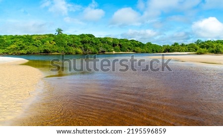 Reddish water of a river against forest and blue sky in the background. Guaibim beach, coast of the sea of Bahia, Brazil