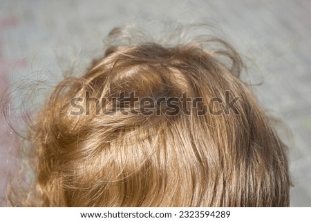 Similar – Image, Stock Photo undercover Bengel II Grass