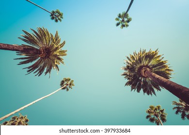 Redeo Los Angeles Vintge Palm Trees Vintage - clear summer skies - Shutterstock ID 397933684