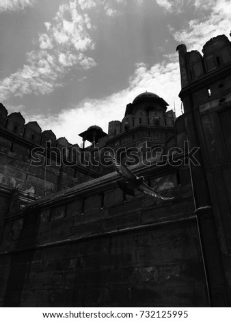 RedFort