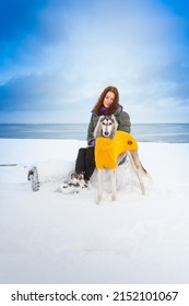red-hair girl and her saluki dog are resting at a snowy seacoast