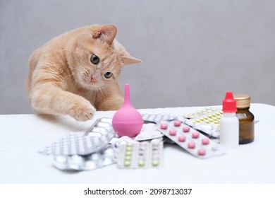 A red-haired cat sitting in front of a pile of medicines and playing with a rubber medical enema. Pet treatment concept. - Shutterstock ID 2098713037