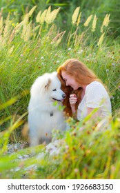 Red-haired girl in a field with a white dog. Samoyed Laika. Samoyed Spitz.