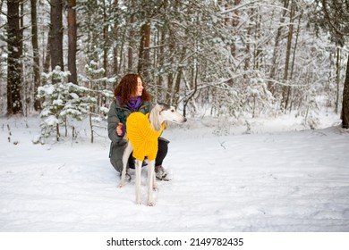 red-haired lass and her beautiful saluki dog rest in a winter forest