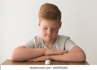 Redhead boy sits at the table opposite a single marshmallow, attempting the marshmallow test - Shutterstock ID 1453956365