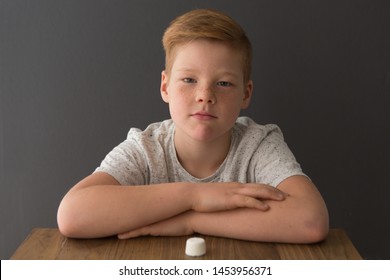 Redhead boy sits at the table opposite a single marshmallow, attempting the marshmallow test - Shutterstock ID 1453956371