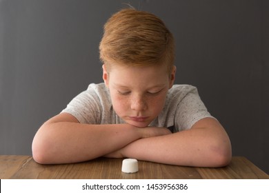 Redhead boy sits at the table opposite a single marshmallow, attempting the marshmallow test - Shutterstock ID 1453956386