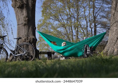 redhead person reading book in green hammock suspended between two sturdy trees, bicycle leans against tree. concepts: gadget detox, outdoor relaxation and leisure, mental well-being, eco-friendly - Powered by Shutterstock