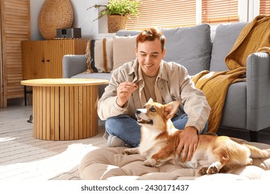 Redhead young happy man feeding cute Corgi dog at home - Powered by Shutterstock