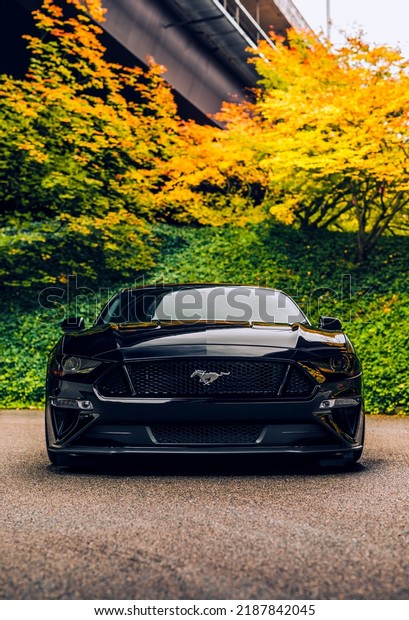 Redmond,\
WA, USA\
July 24, 2022\
Black Ford Mustang 5.0 parked showing the\
front of the car with trees in the\
background