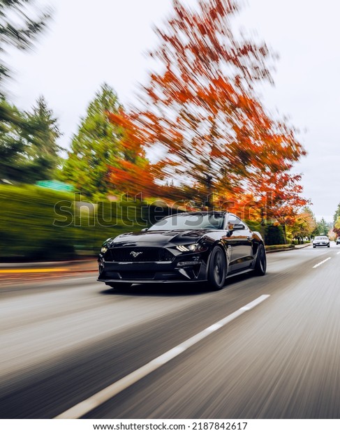 Redmond, WA,\
USA\
July 24, 2022\
Black Ford Mustang 5.0 driving on the street\
with trees in the\
background