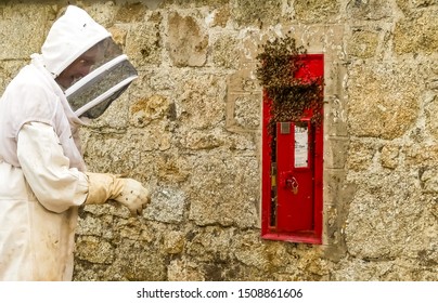 Redmoor, Cornwall. England - June 28, 2019: A Local Beekeeper, Moves To Collect A Swarm Of Wild Bees That Have Colonised A Victorian Wall Mounted Royal Mail Post Box. Landscape Image.