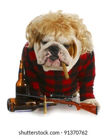 redneck dog - english bulldog redneck smoking cigar and sitting beside gun and beer bottles