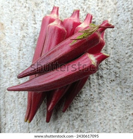 The Redrose Lady's Finger or Okra (Abelmoschus esculentus)