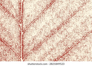 Red-toned leaf surface with a vertical midrib and delicate diagonal veins.