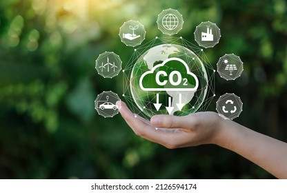 Reduce CO2 Emission Concept In The Hand For Environmental, Global Warming, Sustainable Development And Green Business Based On Renewable Energy. 