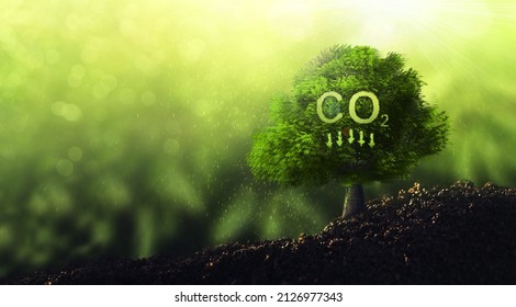 Reduce CO2 emission concept.Clean and friendly environment without carbon dioxide emissions. - Shutterstock ID 2126977343