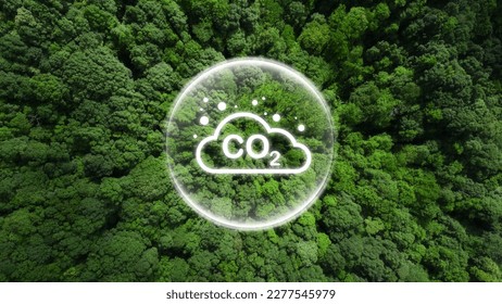 Reduce CO2 emissions to limit climate change and global warming. Co2 text in bubbles with forest.carbon dioxide CO2 molecules. Low greenhouse gas levels, decarbonize, net zero carbon dioxide footprint - Shutterstock ID 2277545979