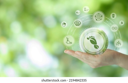 Reducing carbon footprint , net zero target, product recycling, circular economy concept. Environmental and limit climate change. Protection for reducing carbon footprint  on green view background. - Shutterstock ID 2194842335
