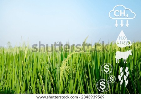 Reducing methane from rice fields. Low-carbon farmers towards sustainable agriculture and reducing global warming.