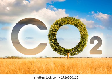 Reduction Of The Amount Of CO2 Emissions - Concept Image With CO2 Icon Text And Tree Shape In Rural Scene.