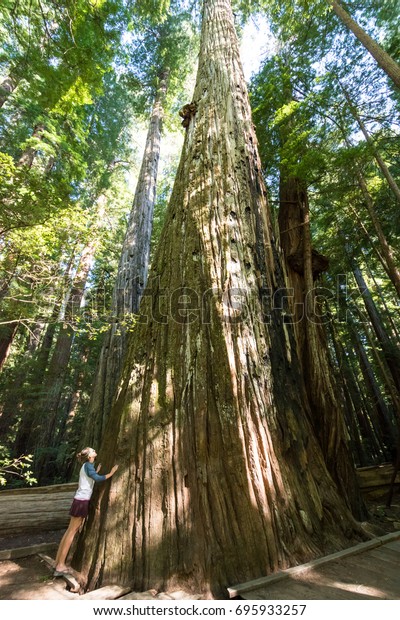 Redwood National Park - an adult female stands next\
to a giant redwood tree, showing the scale of how large these\
redwoods are