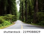 The Redwood National and State Parks (RNSP) are located in the United States, along the coast of northern California.