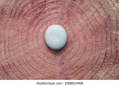 Redwood Rings Detail With Circle White Stone Centered