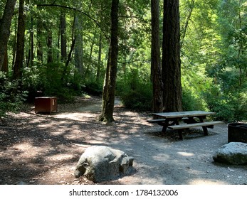 Redwoods Campsite Tent Picnic Table