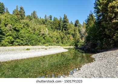 Redwoods National Park, California. Tall Tree Grove Trail. Redwood Creek. The River Provides Recreation, And Agricultural And Industrial Water Supply For The Community Of Orick.