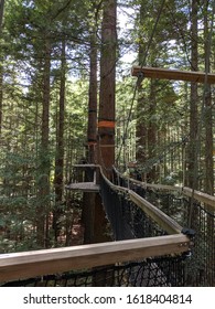 Redwoods Treewalk In Rotorua, Bay Of Plenty, New Zealand