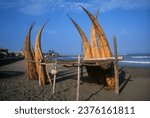 Reed boats in Huanchaco, Peru, are a traditional and iconic means of watercraft made from totora reeds. Huanchaco is a coastal town in northern Peru