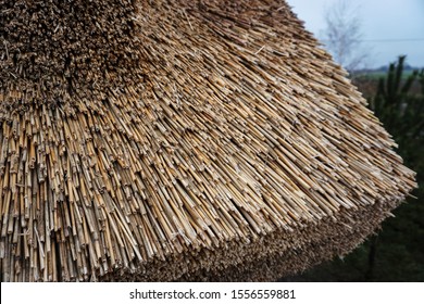 Reed Roof On House Natural Building Stock Photo 1556559881 | Shutterstock