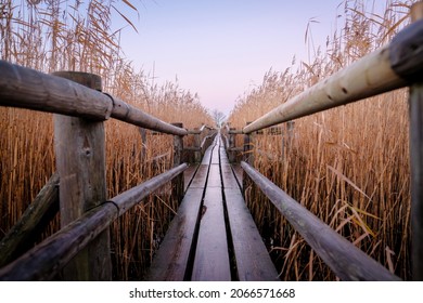 Reed Trail In A Lake. Beautiful Scenery With A Wooden Boardwalk As An Endless Path And Vanishing Point In The Distance. Selective Focus