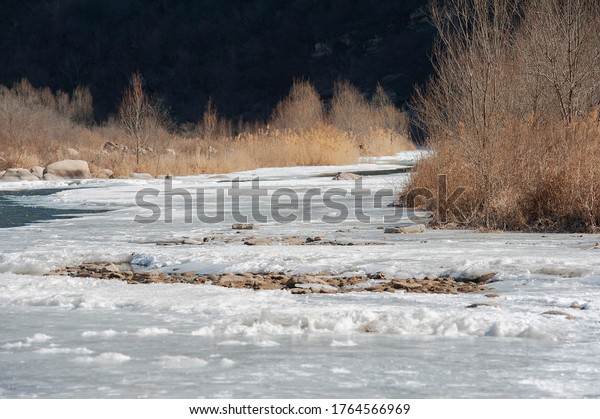 Reeds in Bright Sun along River of Gradually\
Melting against Dark Mountain Behind in Baihe Gorge, Yanqing\
County, Beijing China in March\
2016