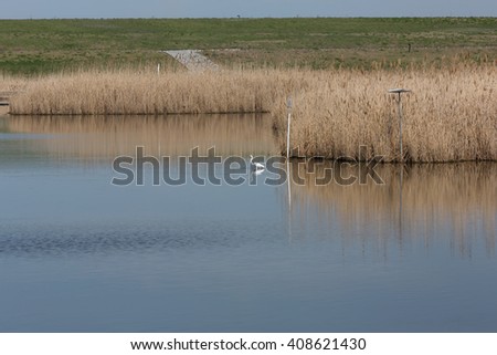 Similar – hooge Landscape